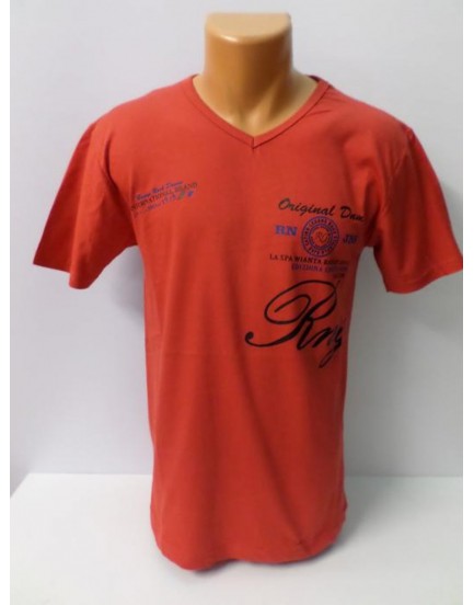 Erkek T-Shirt